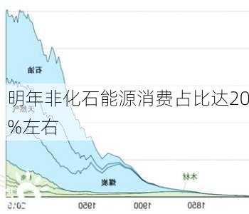 明年非化石能源消费占比达20%左右