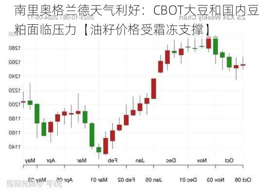 南里奥格兰德天气利好：CBOT大豆和国内豆粕面临压力【油籽价格受霜冻支撑】