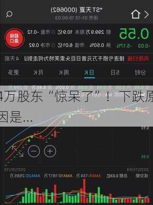 4万股东“惊呆了”！下跌原因是...