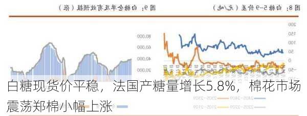 白糖现货价平稳，法国产糖量增长5.8%，棉花市场震荡郑棉小幅上涨