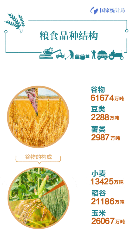 CBOT持仓：基金增芝加哥谷物净空头，小麦、大豆和玉米市场动态分析