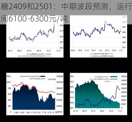 郑糖2409和2501：中期波段预测，运行区间6100-6300元/吨