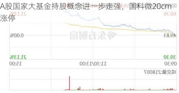 A股国家大基金持股概念进一步走强，国科微20cm涨停