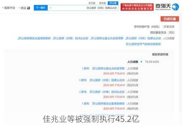 佳兆业等被强制执行45.2亿