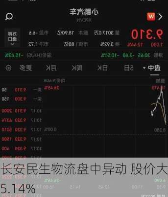 长安民生物流盘中异动 股价大跌5.14%