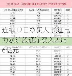 连续12日净买入 长江电力获沪股通净买入28.56亿元