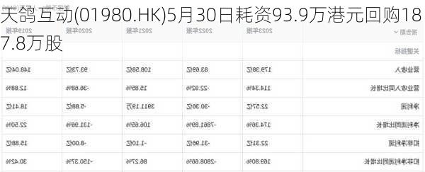 天鸽互动(01980.HK)5月30日耗资93.9万港元回购187.8万股