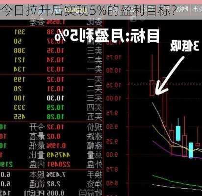 今日拉升后实现5%的盈利目标？