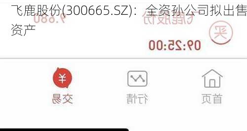 飞鹿股份(300665.SZ)：全资孙公司拟出售资产