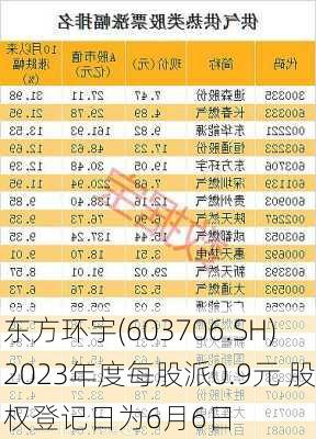 东方环宇(603706.SH)2023年度每股派0.9元 股权登记日为6月6日