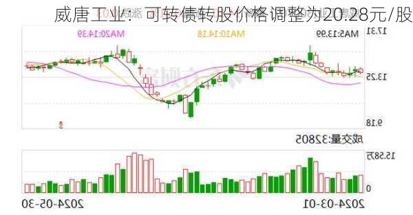 威唐工业：可转债转股价格调整为20.28元/股