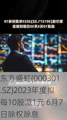 东方盛虹(000301.SZ)2023年度拟每10股派1元 6月7日除权除息