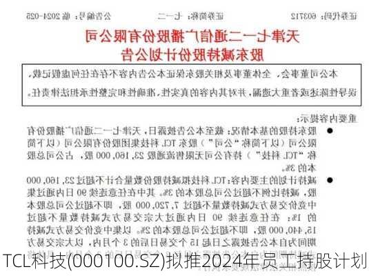 TCL科技(000100.SZ)拟推2024年员工持股计划