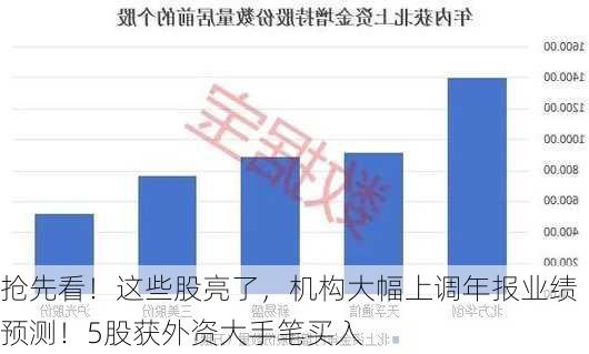 抢先看！这些股亮了，机构大幅上调年报业绩预测！5股获外资大手笔买入