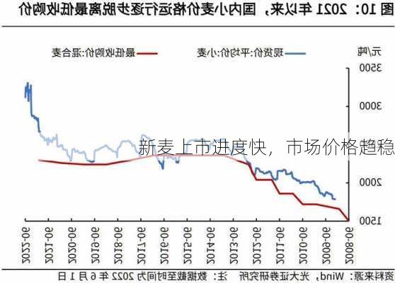 新麦上市进度快，市场价格趋稳