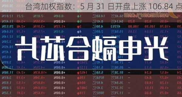 台湾加权指数：5 月 31 日开盘上涨 106.84 点