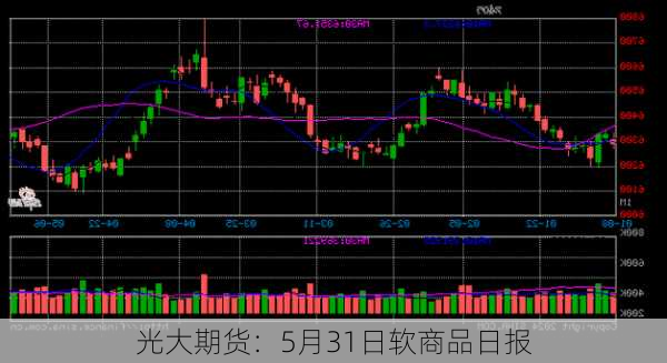 光大期货：5月31日软商品日报