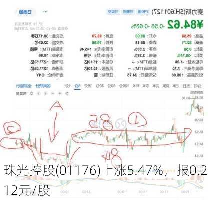 珠光控股(01176)上涨5.47%，报0.212元/股