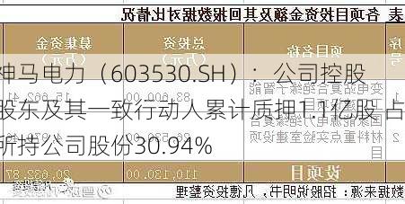 神马电力（603530.SH）：公司控股股东及其一致行动人累计质押1.1亿股 占所持公司股份30.94%