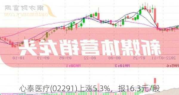 心泰医疗(02291)上涨5.3%，报16.3元/股