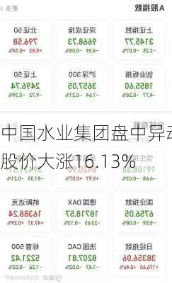 中国水业集团盘中异动 股价大涨16.13%