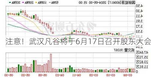 注意！武汉凡谷将于6月17日召开股东大会