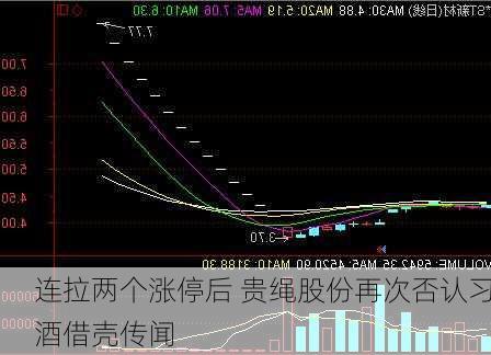 连拉两个涨停后 贵绳股份再次否认习酒借壳传闻