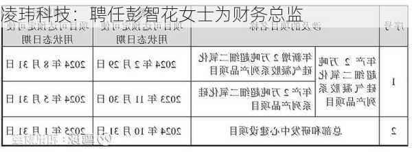 凌玮科技：聘任彭智花女士为财务总监