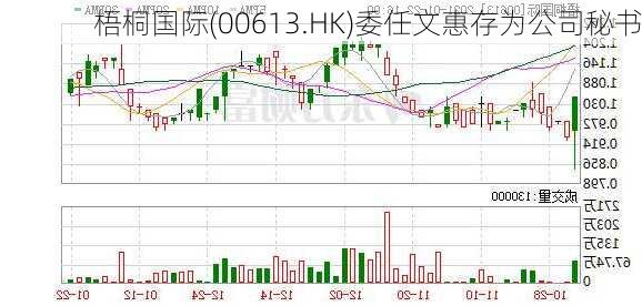 梧桐国际(00613.HK)委任文惠存为公司秘书