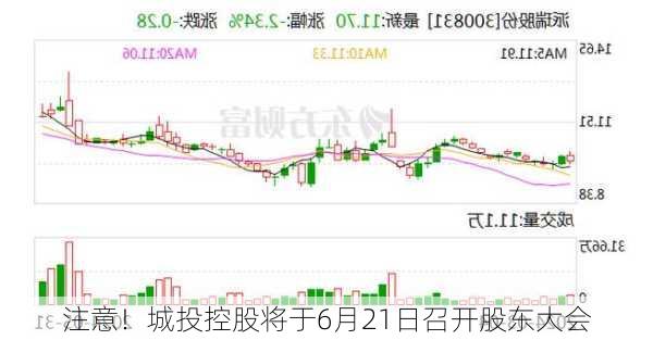 注意！城投控股将于6月21日召开股东大会