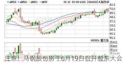 注意！马钢股份将于6月19日召开股东大会