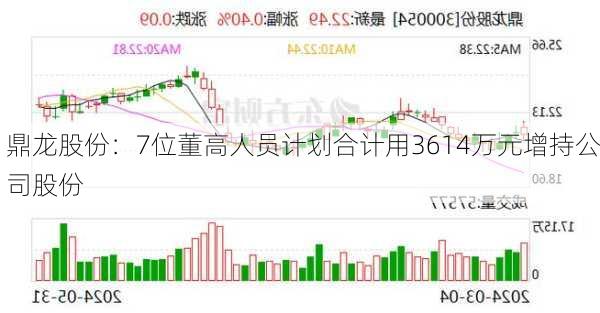 鼎龙股份：7位董高人员计划合计用3614万元增持公司股份