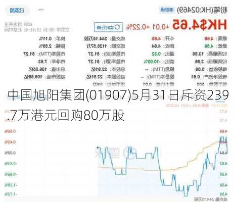 中国旭阳集团(01907)5月31日斥资239.7万港元回购80万股