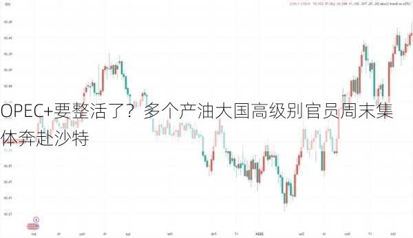 OPEC+要整活了？多个产油大国高级别官员周末集体奔赴沙特