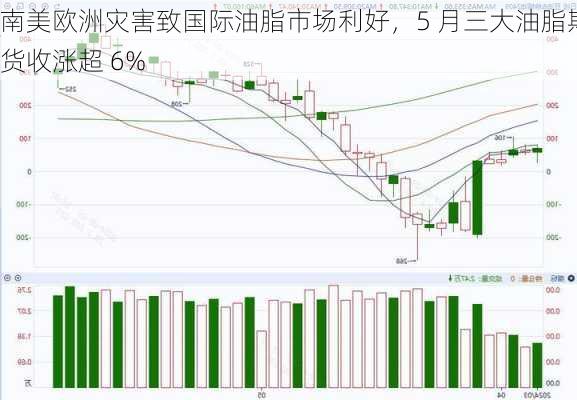 南美欧洲灾害致国际油脂市场利好，5 月三大油脂期货收涨超 6%