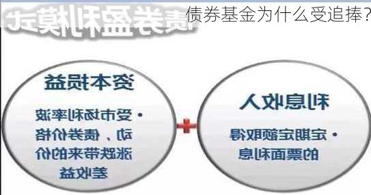 债券基金为什么受追捧？