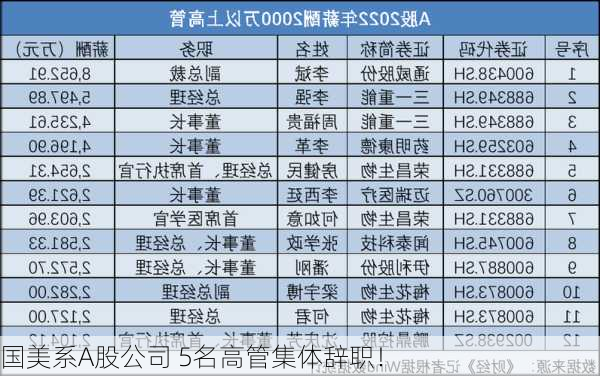 国美系A股公司 5名高管集体辞职！