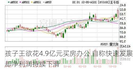 孩子王欲花4.9亿元买房办公 自称快速发展却净利润持续下滑