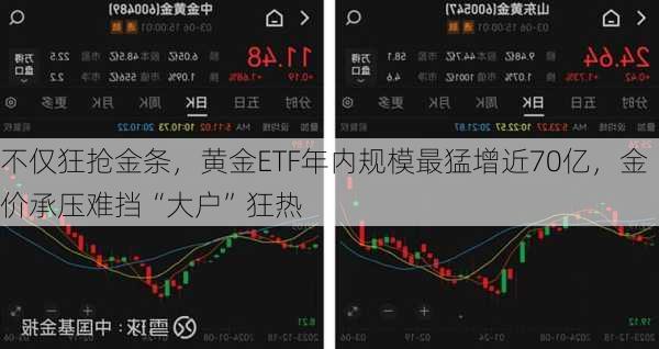 不仅狂抢金条，黄金ETF年内规模最猛增近70亿，金价承压难挡“大户”狂热