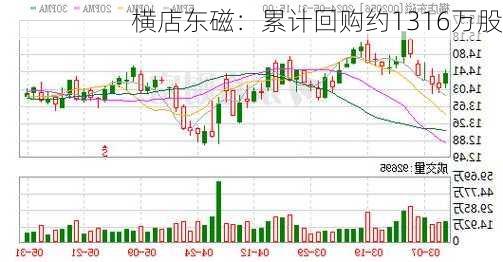 横店东磁：累计回购约1316万股