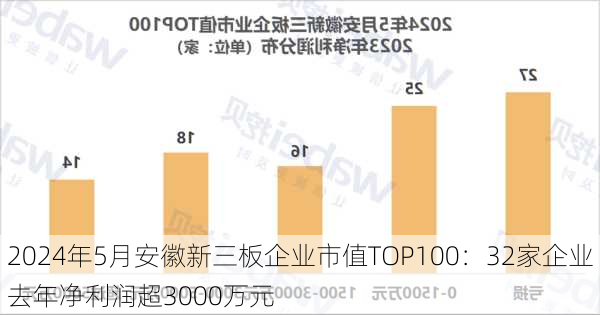 2024年5月安徽新三板企业市值TOP100：32家企业去年净利润超3000万元