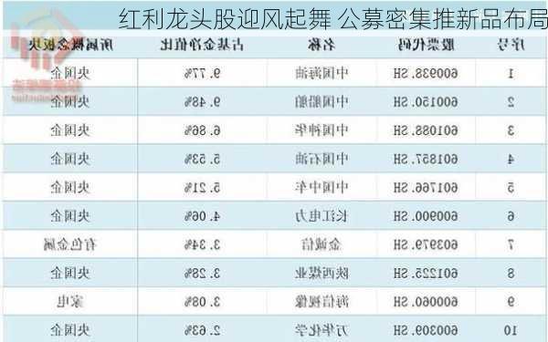 红利龙头股迎风起舞 公募密集推新品布局