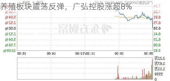 养殖板块震荡反弹，广弘控股涨超8%