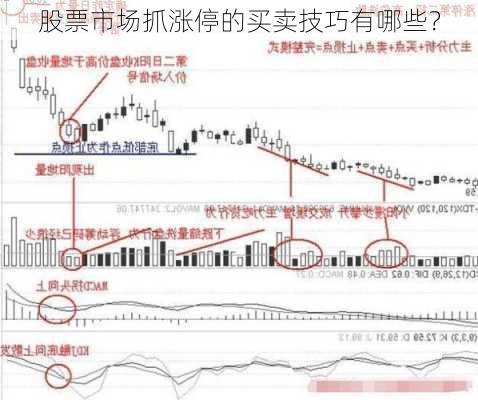 股票市场抓涨停的买卖技巧有哪些？