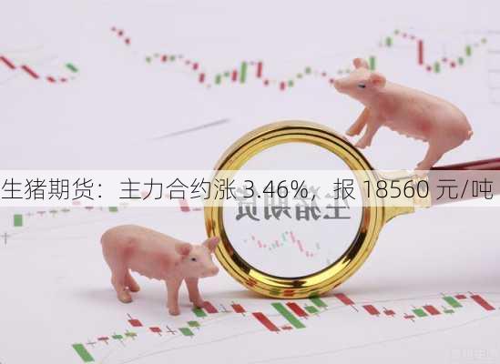 生猪期货：主力合约涨 3.46%，报 18560 元/吨