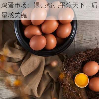 鸡蛋市场：褐壳粉壳平分天下，质量成关键