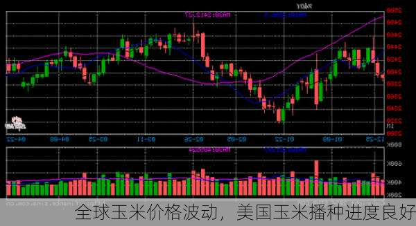 全球玉米价格波动，美国玉米播种进度良好