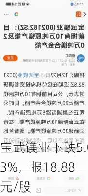 宝武镁业下跌5.03%，报18.88元/股