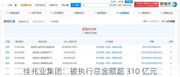 佳兆业集团：被执行总金额超 310 亿元