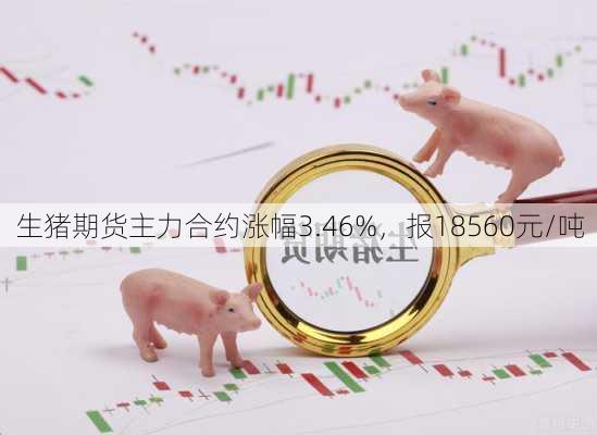 生猪期货主力合约涨幅3.46%，报18560元/吨